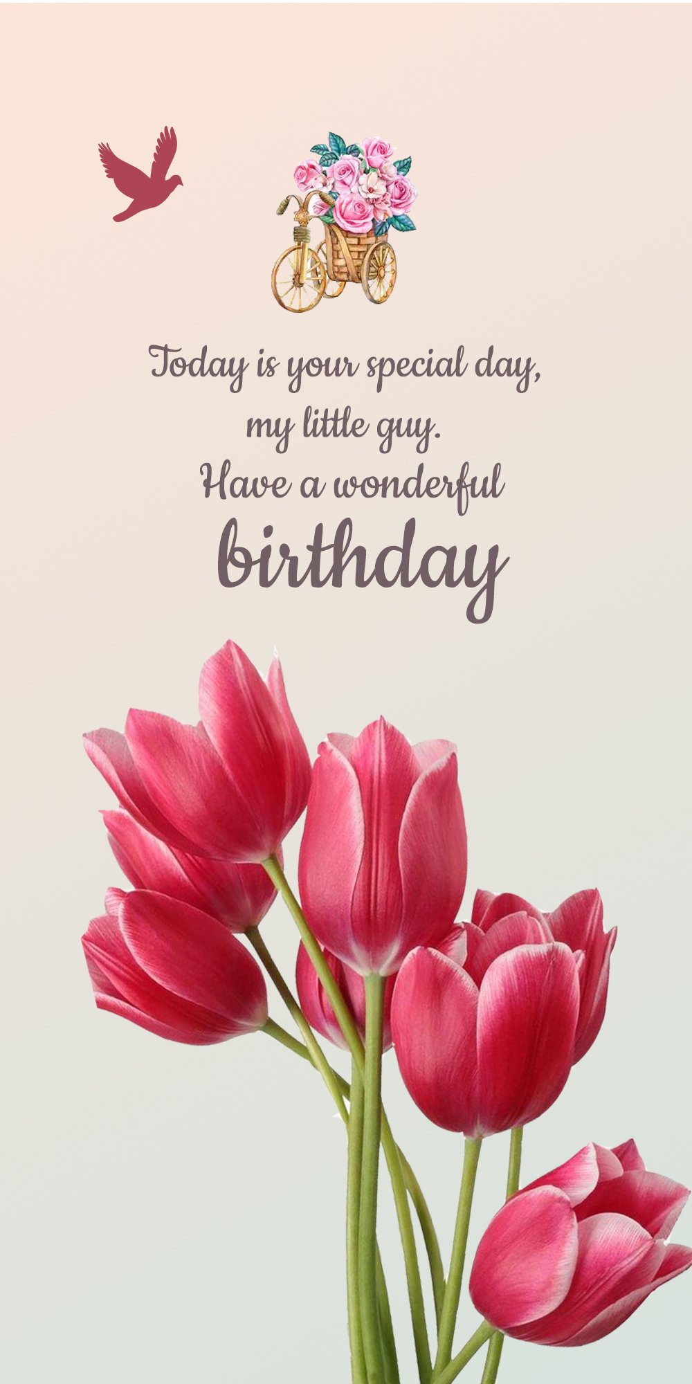 Birthday Wishes For Students